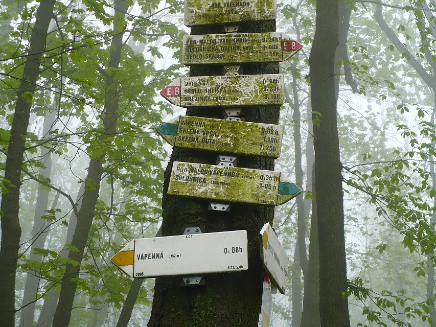 img00060.jpg