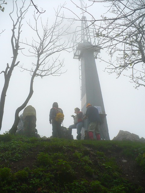 img00065.jpg