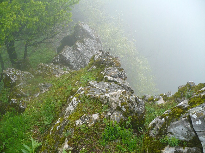 img00066.jpg