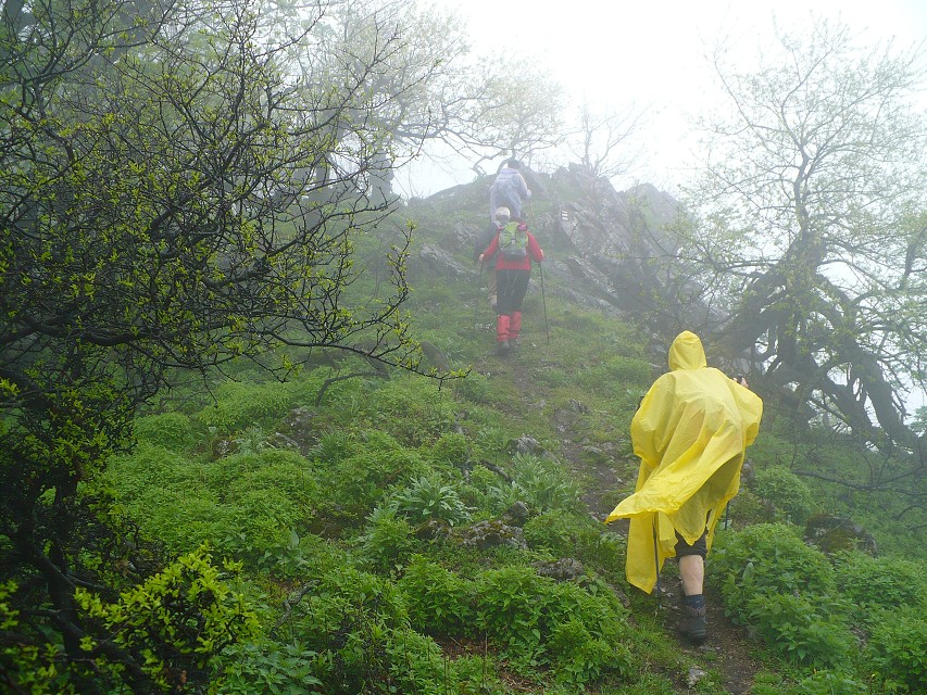 img00069.jpg