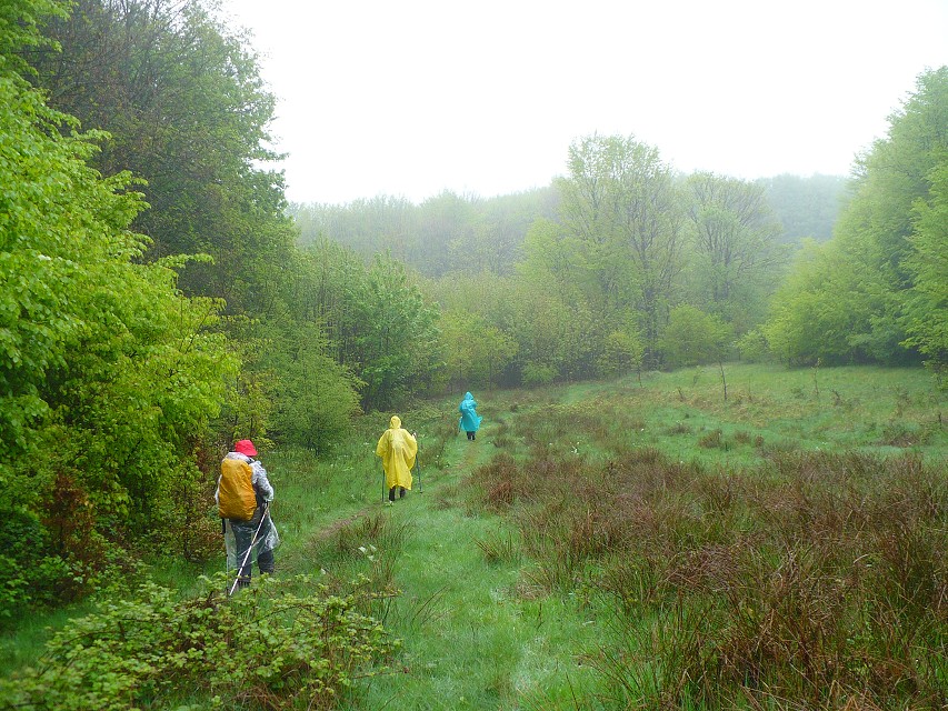 img00073.jpg