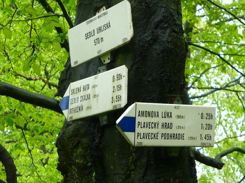 img00075.jpg