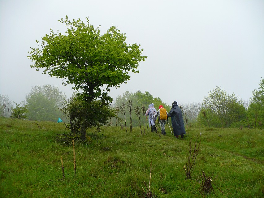 img00077.jpg