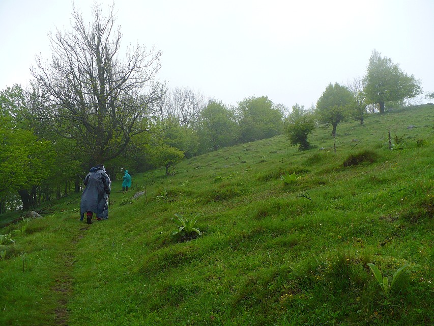 img00078.jpg
