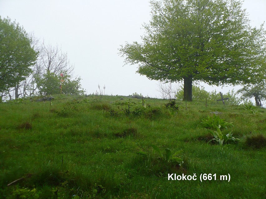 img00079.jpg