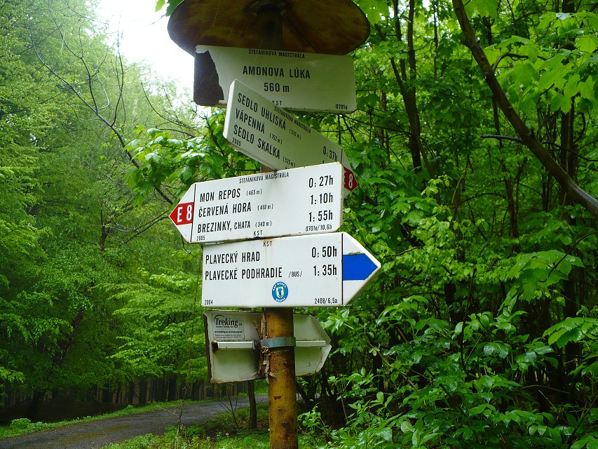 img00082.jpg