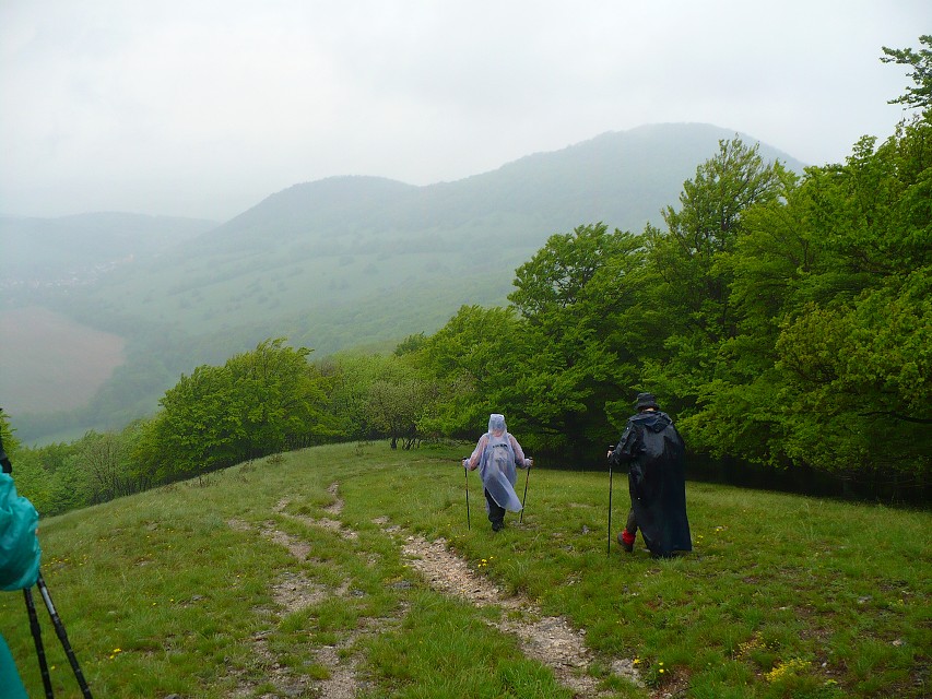 img00083.jpg