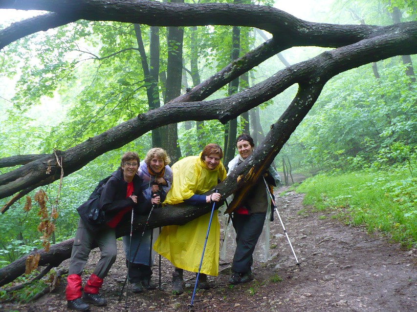 img00089.jpg