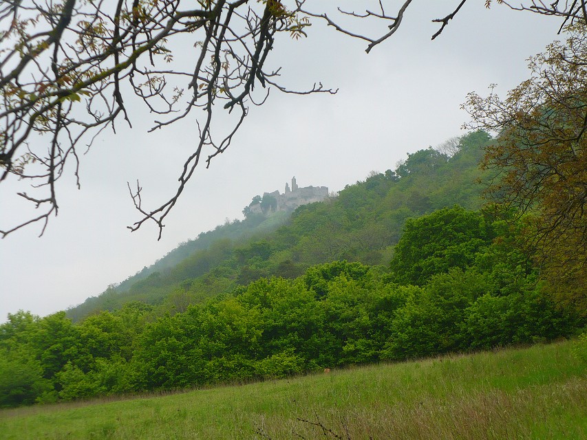 img00090.jpg