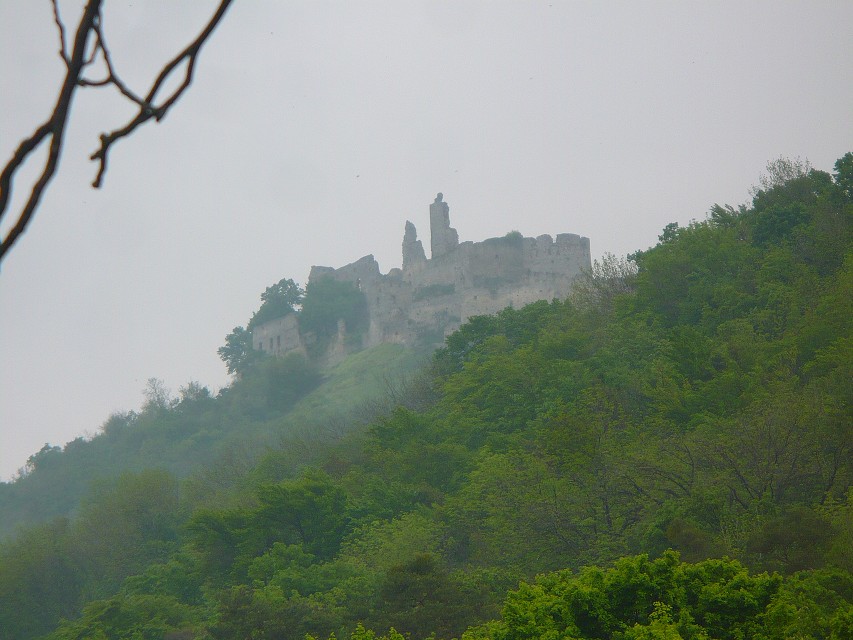 img00091.jpg