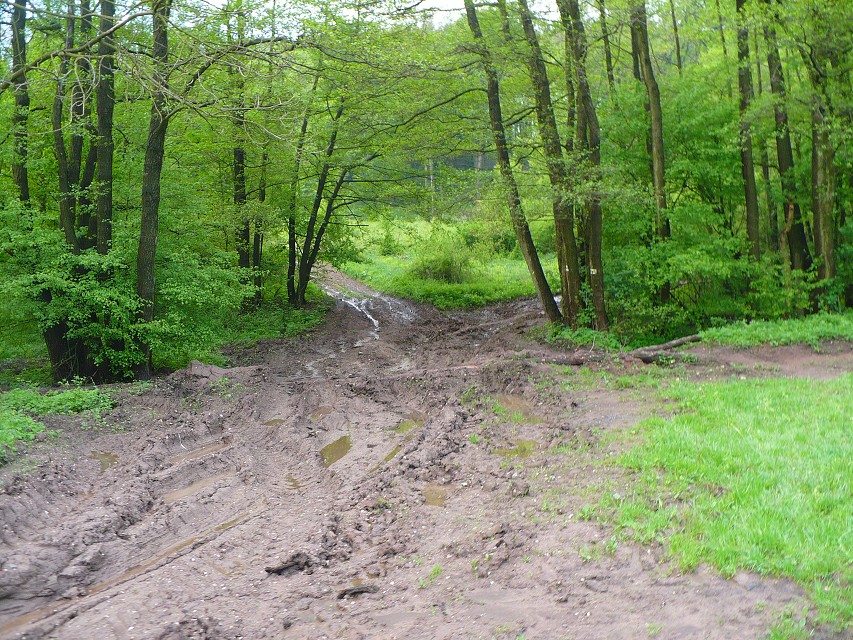img00101.jpg