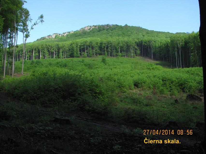 img00104.jpg