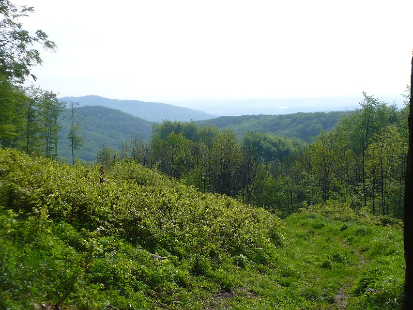 img00105.jpg
