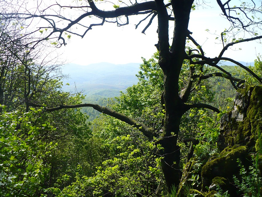 img00108.jpg