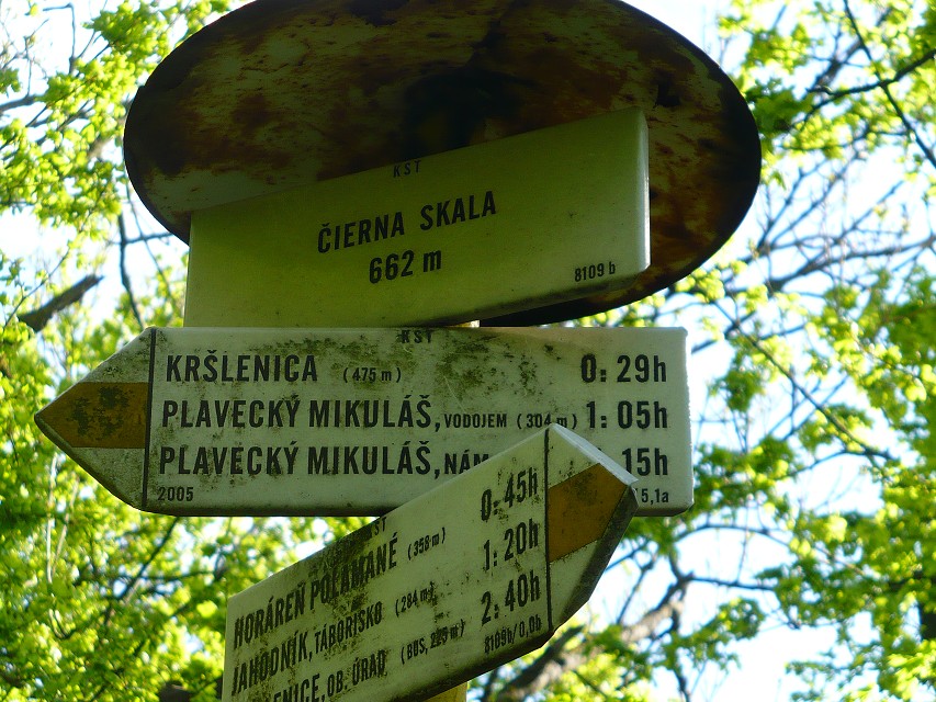 img00109.jpg