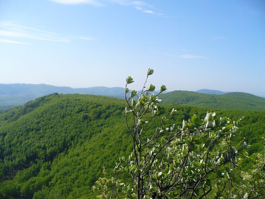 img00112.jpg