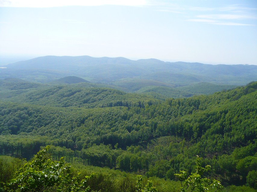 img00113.jpg