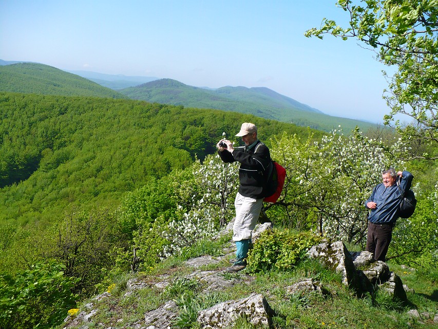img00114.jpg