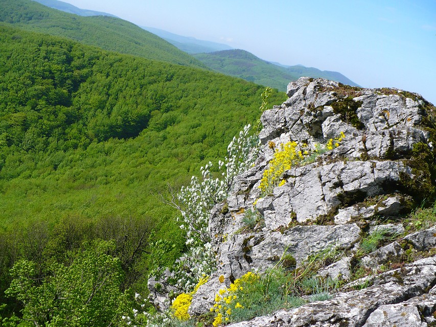 img00116.jpg