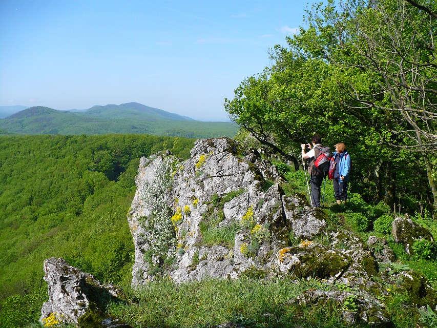 img00117.jpg
