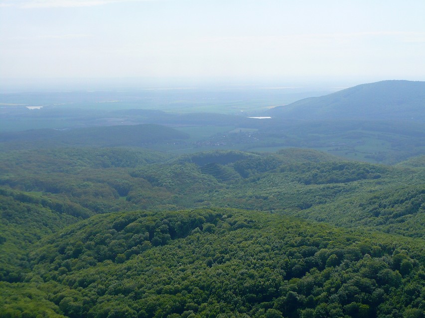 img00118.jpg