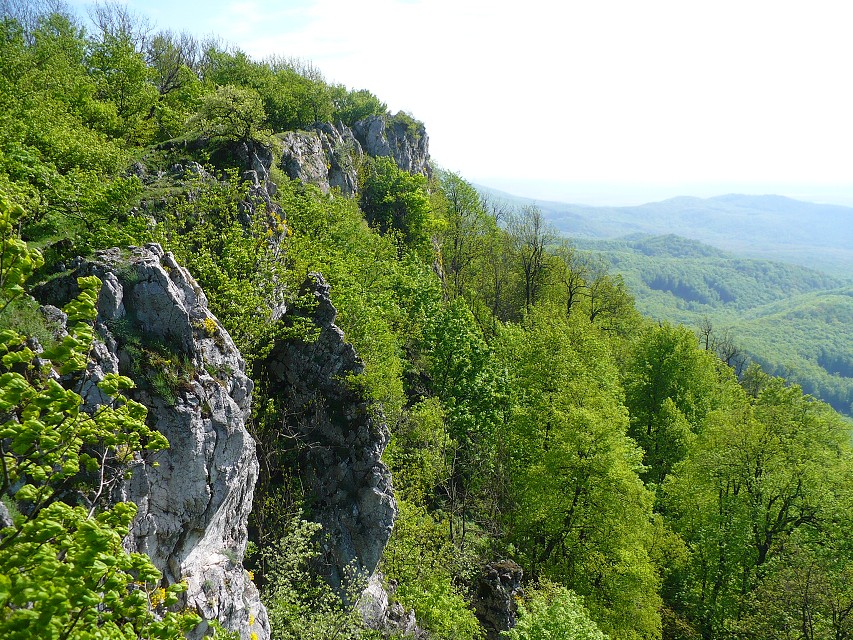 img00119.jpg