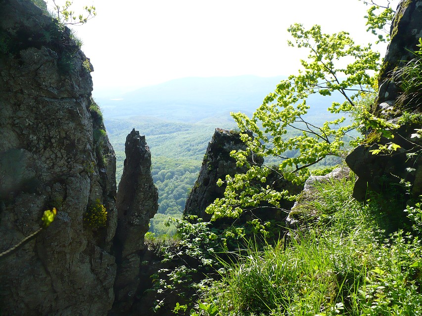 img00120.jpg
