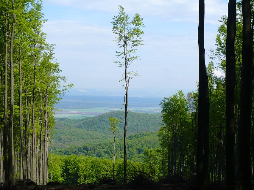 img00122.jpg