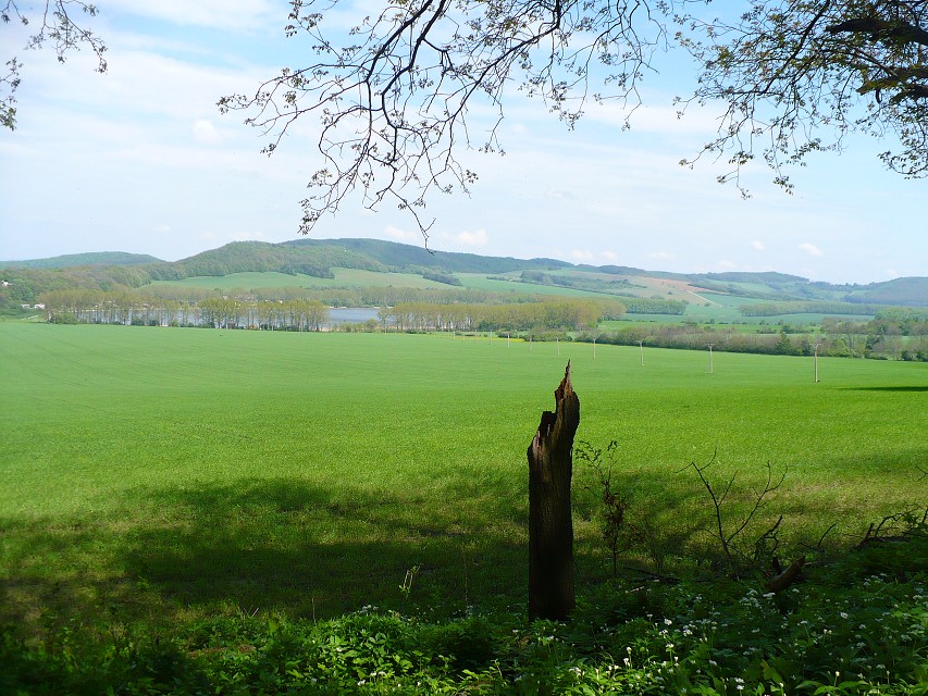img00124.jpg