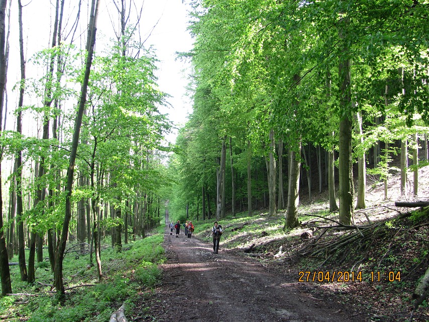 img00125.jpg