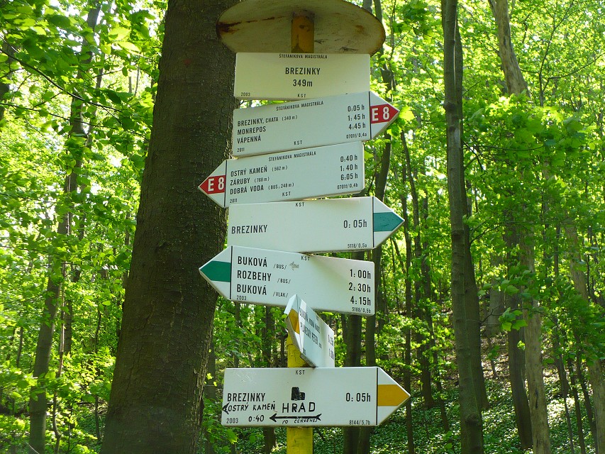 img00127.jpg