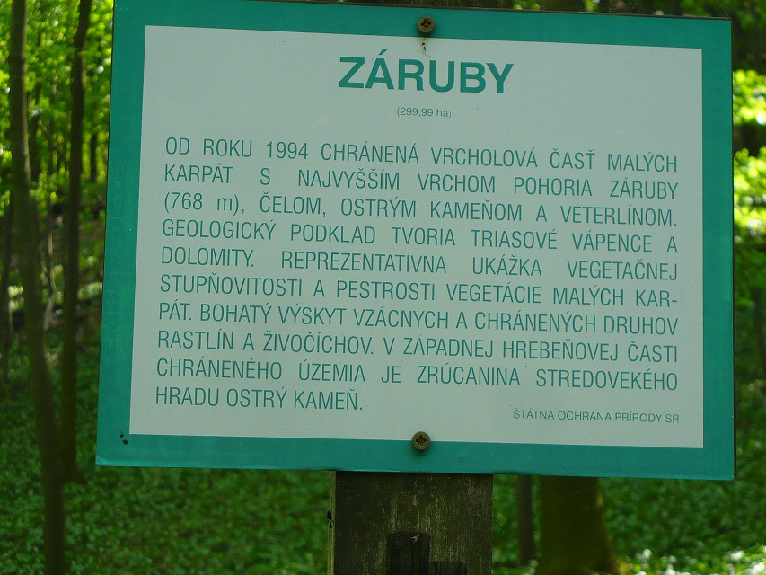 img00128.jpg