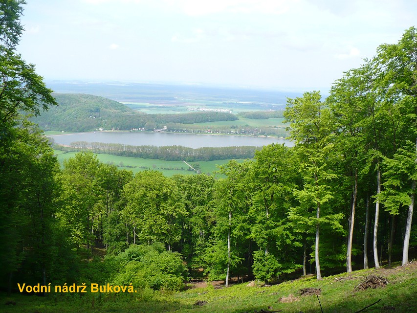 img00129.jpg