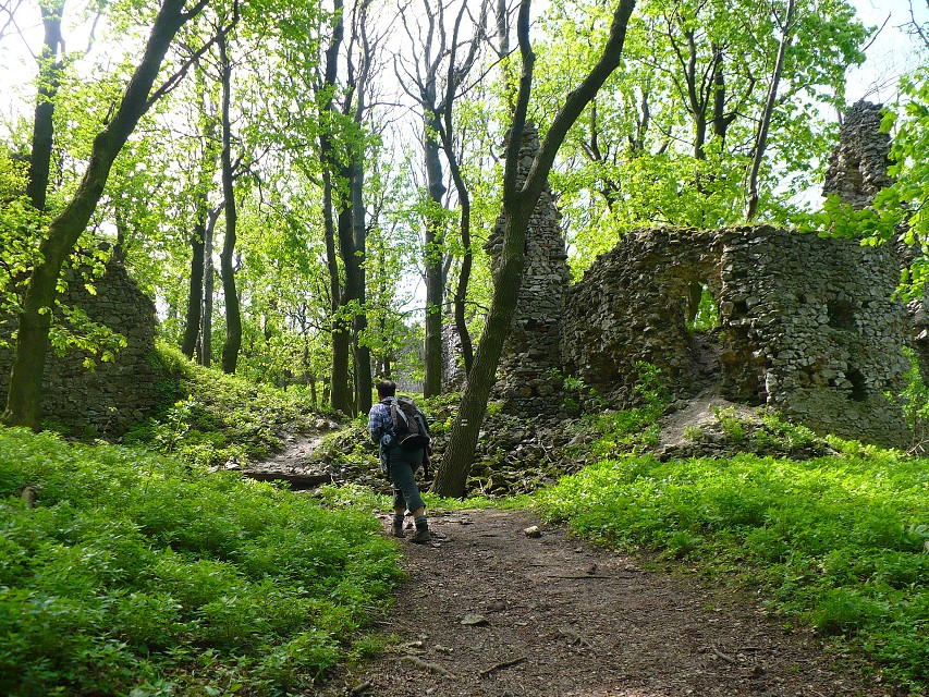 img00130.jpg