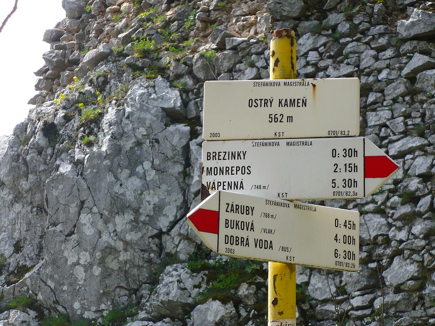 img00132.jpg