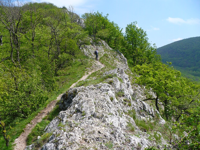 img00134.jpg