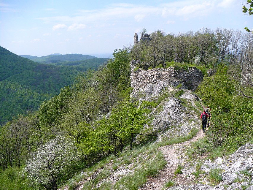 img00135.jpg