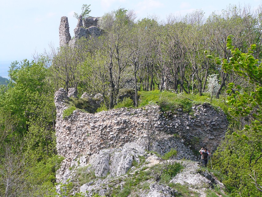 img00136.jpg