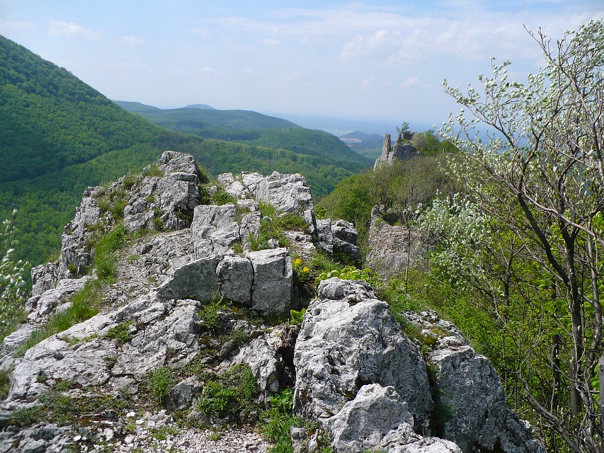 img00139.jpg