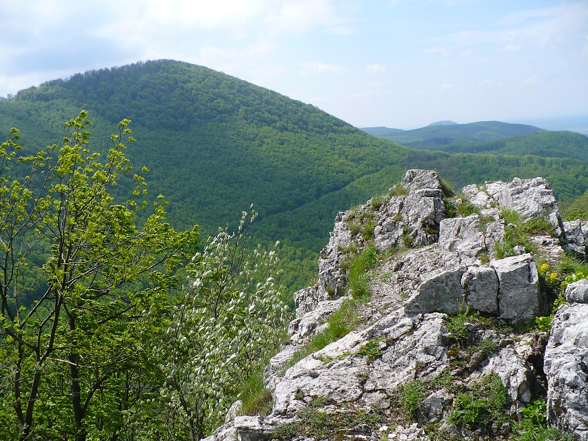 img00140.jpg