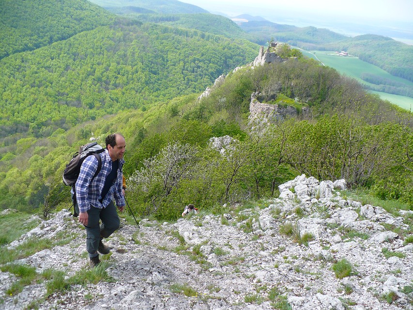 img00141.jpg
