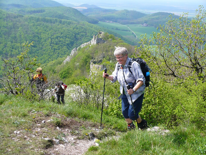 img00143.jpg