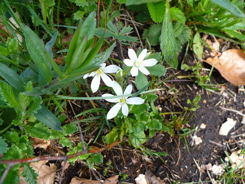 img00144.jpg