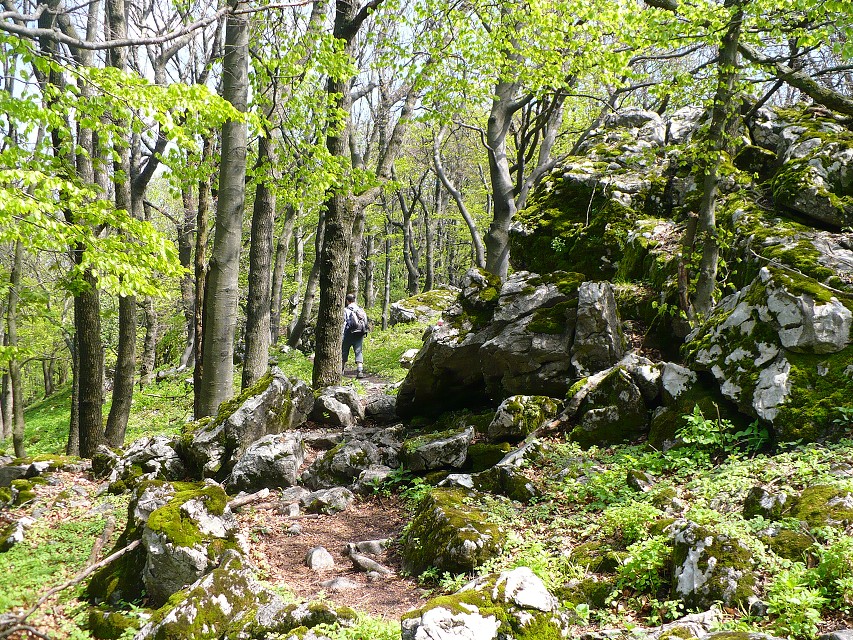 img00146.jpg