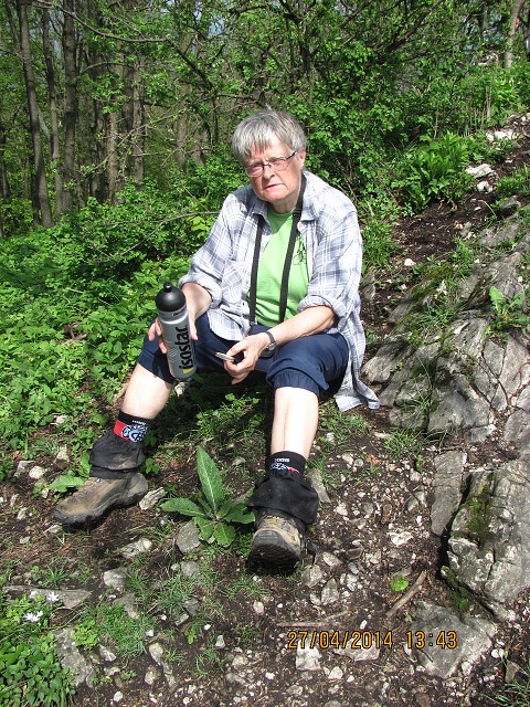 img00148.jpg