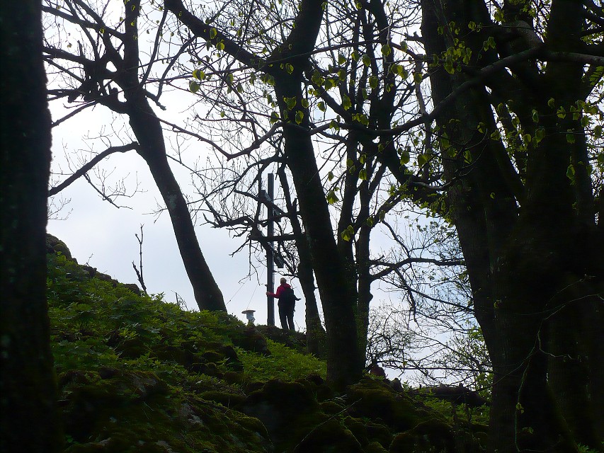 img00153.jpg