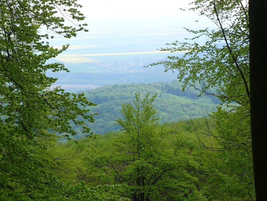 img00155.jpg