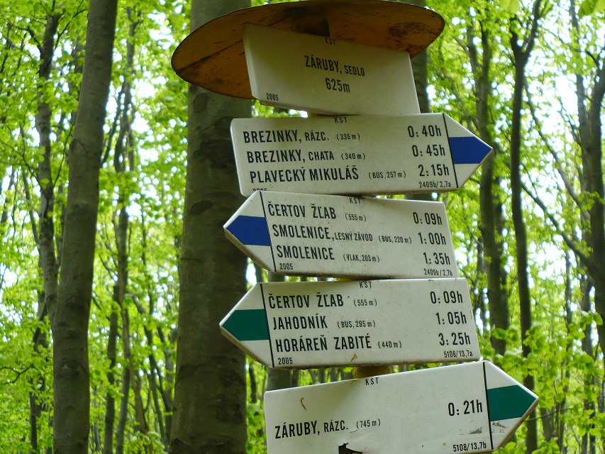 img00156.jpg