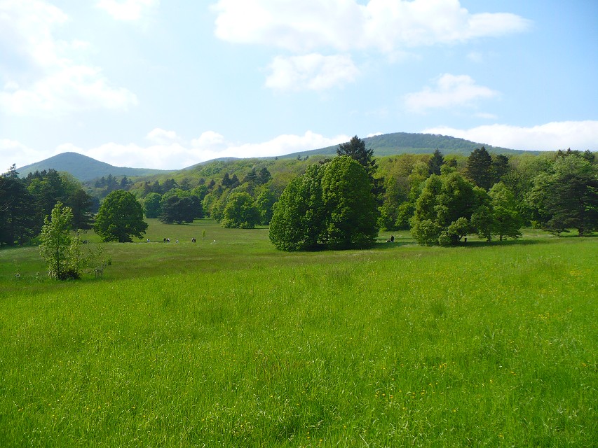img00158.jpg