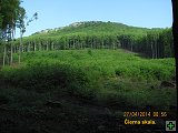 thn00104.jpg